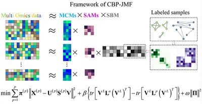 CBP-JMF: An Improved Joint Matrix Tri-Factorization Method for Characterizing Complex Biological Processes of Diseases